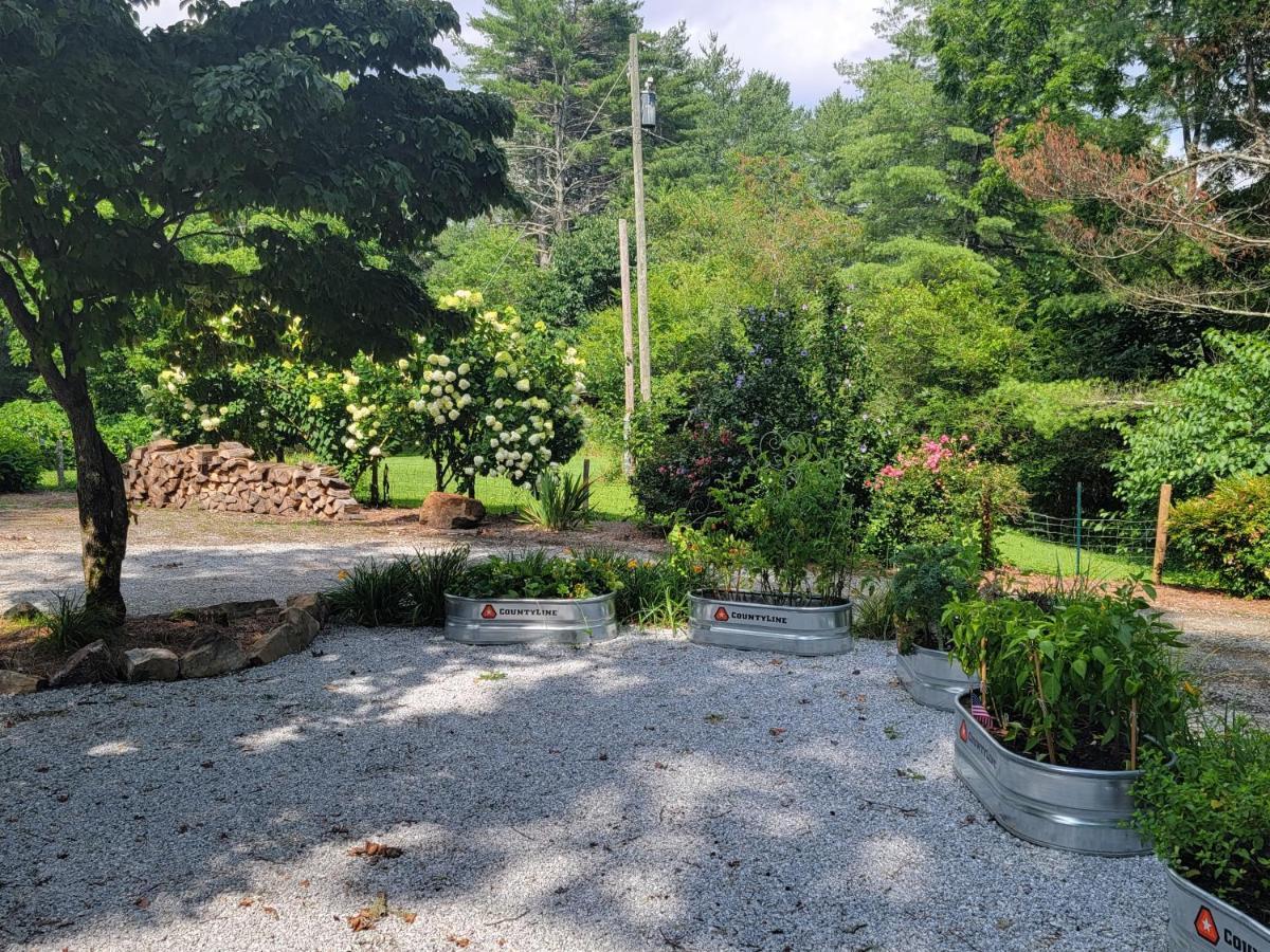 Homestay Mcternan Manor